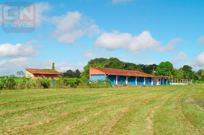 Fazenda à Venda,  em Castanhal