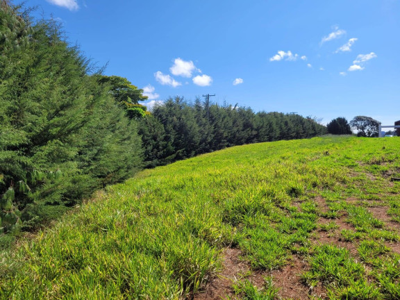 Imagem Terreno em Condomínio à Venda, 1 m² em Azevedo - Joanópolis Imagem Terreno em Condomínio à Venda, 1 m² em Azevedo - Joanópolis