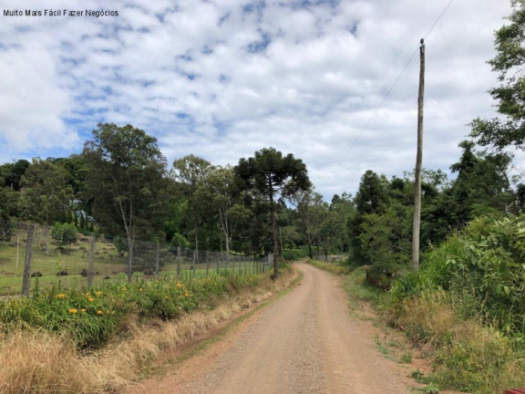 Imagem Terreno à Venda, 5 m² em Nove Colônias - Nova Petrópolis