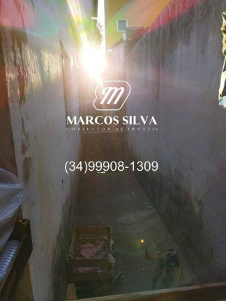 Imagem Casa com 4 Quartos à Venda, 300 m² em Segismundo Pereira - Uberlândia
