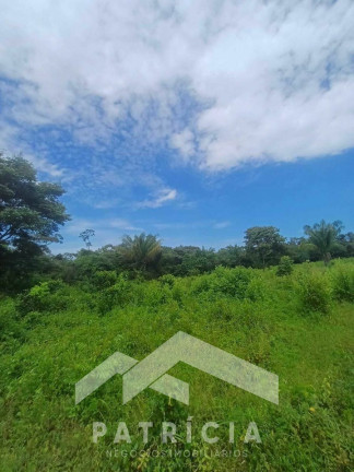 Imagem Imóvel com 2 Quartos à Venda, 140 m² em Zona Rural - Nova Maringá