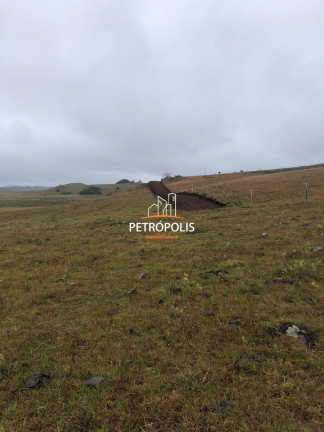 Imagem Terreno à Venda, 20.000 m² em área Rural De Caxias Do Sul - Caxias Do Sul