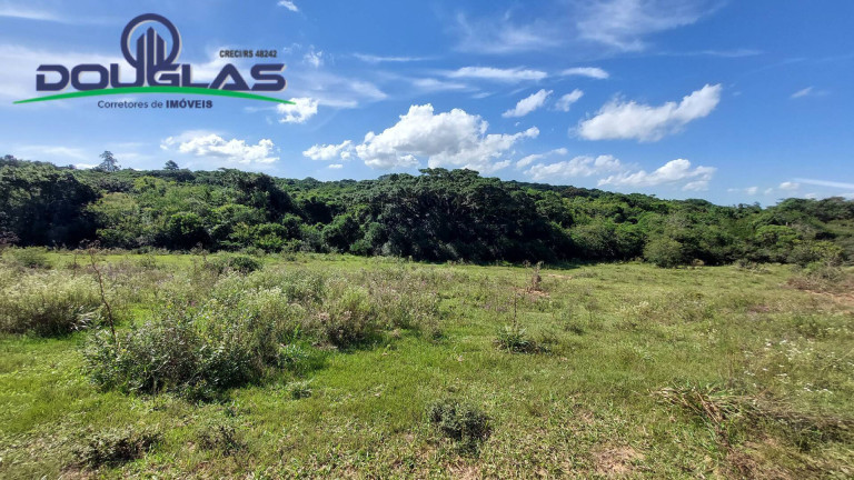 Imagem Chácara à Venda, em Viamão Imagem Chácara à Venda, em Viamão