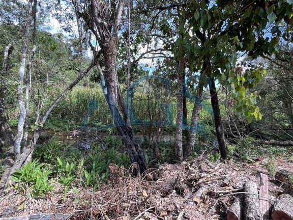 Imagem Imóvel com 2 Quartos à Venda, 1.624 m² em Ibiúna - Ibiúna