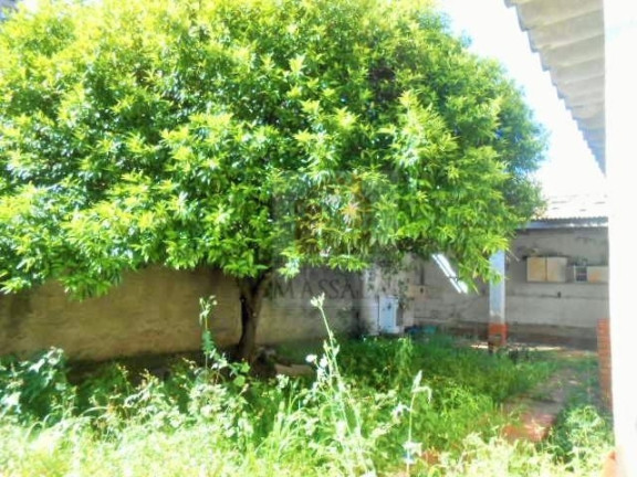 Imagem Casa com 4 Quartos à Venda, 180 m² em Rio Branco - Porto Alegre