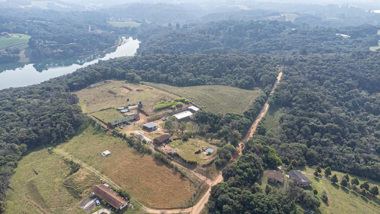 Imagem Imóvel com 1 Quarto à Venda, 22.000 m² em Vila David Antônio - Campo Largo