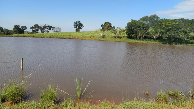 Imagem Fazenda à Venda, 278 m² em Rural - São Manuel Imagem Fazenda à Venda, 278 m² em Rural - São Manuel