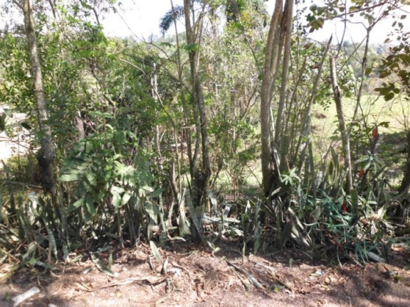 Imagem Terreno à Venda, 2.000 m² em Veraneio Ijal - Jacareí Imagem Terreno à Venda, 2.000 m² em Veraneio Ijal - Jacareí