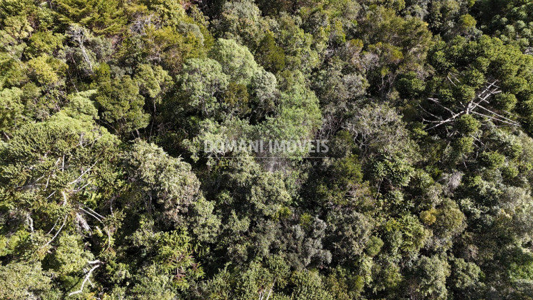Imagem Terreno à Venda, 2.570 m² em Região De Capivari - Campos Do Jordão Imagem Terreno à Venda, 2.570 m² em Região De Capivari - Campos Do Jordão