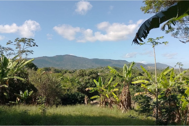 Imagem Terreno à Venda, 2.729 m² em Guaratiba - Rio De Janeiro Imagem Terreno à Venda, 2.729 m² em Guaratiba - Rio De Janeiro