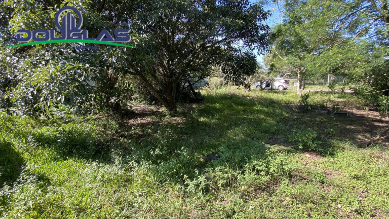 Imagem Terreno à Venda, 600 m² em Viamão