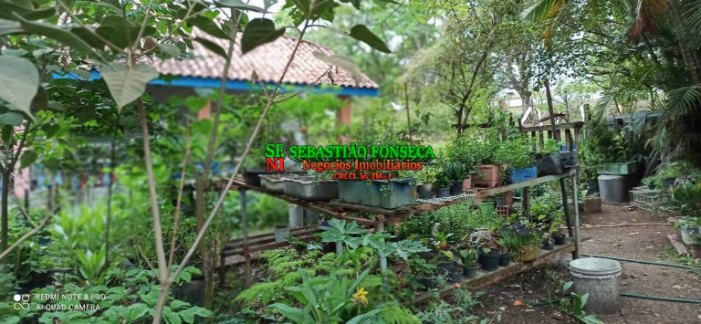 Imagem Chácara à Venda, 13.000 m² em Centro - Caçapava