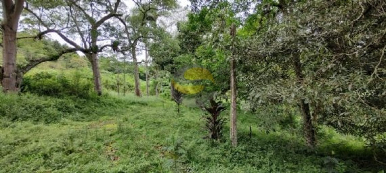 Imagem Terreno à Venda, 96.000 m² em Jardim Tomé - Embu Das Artes Imagem Terreno à Venda, 96.000 m² em Jardim Tomé - Embu Das Artes