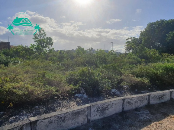 Imagem Imóvel à Venda,  em Porto Sauípe - Entre Rios