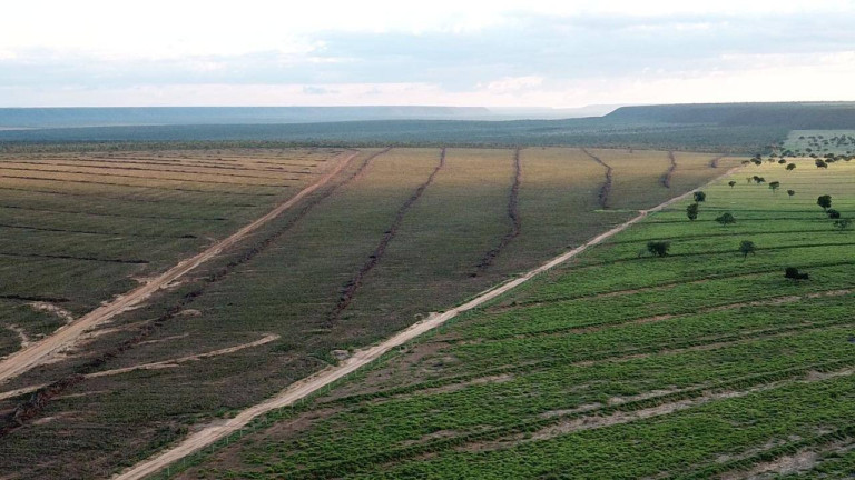 Imagem Fazenda à Venda, 1 m² em Mateiros Imagem Fazenda à Venda, 1 m² em Mateiros