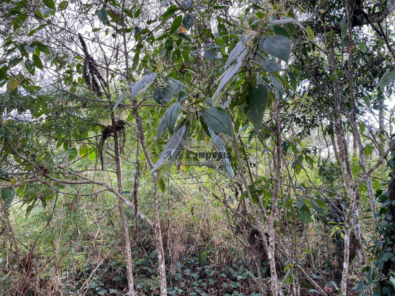 Imagem Terreno à Venda, 1 m² em Parque Aquarela - Campos Do Jordão Imagem Terreno à Venda, 1 m² em Parque Aquarela - Campos Do Jordão