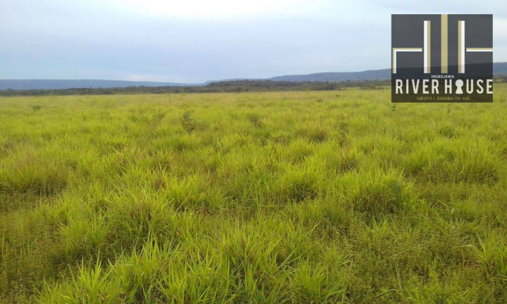 Imagem Fazenda à Venda, 74.300.000 m² em Vila Bom Jardim - Nobres