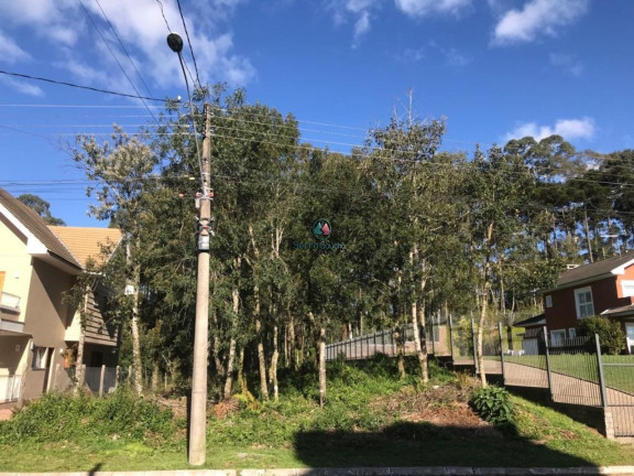 Terreno à Venda, 825 m² em Vale Das Colinas - Gramado