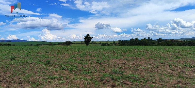 Imagem Imóvel com 7 Quartos à Venda, 1.621.400 m² em Centro - Sorocaba Imagem Imóvel com 7 Quartos à Venda, 1.621.400 m² em Centro - Sorocaba