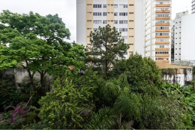 Imagem Apartamento com 2 Quartos à Venda, 65 m² em Vila Madalena - São Paulo Imagem Apartamento com 2 Quartos à Venda, 65 m² em Vila Madalena - São Paulo