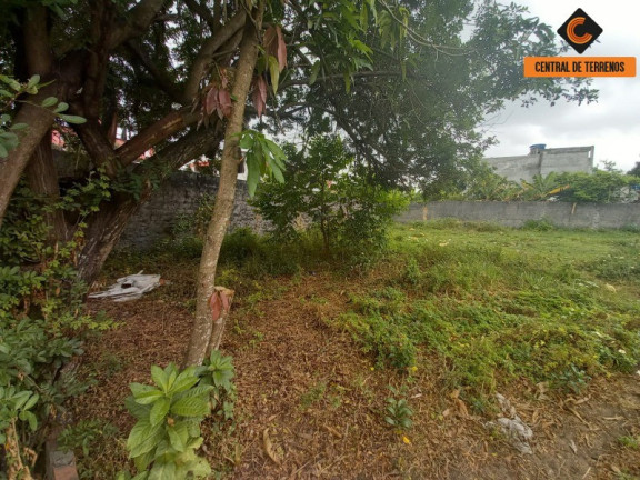 Imagem Terreno à Venda, 3.409 m² em Jardim Das Margaridas - Salvador Imagem Terreno à Venda, 3.409 m² em Jardim Das Margaridas - Salvador