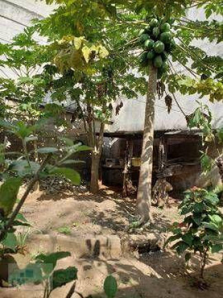 Imagem Terreno à Venda, 350 m² em Vila Santa Catarina - São Paulo