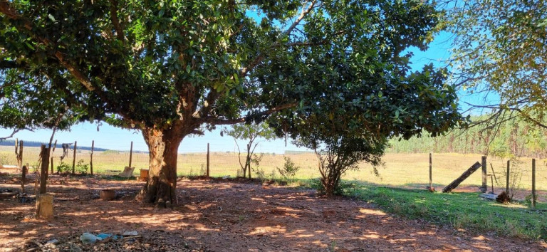 Fazenda à Venda,  em Centro - Getulina