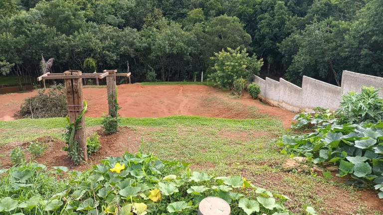 Imagem Fazenda à Venda, em Centro - Contenda Imagem Fazenda à Venda, em Centro - Contenda