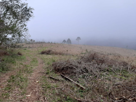 Imagem Fazenda à Venda, 20 m² em Campo Grande - Pilar Do Sul Imagem Fazenda à Venda, 20 m² em Campo Grande - Pilar Do Sul