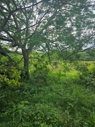 Imagem Chácara à Venda, 2 m² em Arapongas Imagem Chácara à Venda, 2 m² em Arapongas