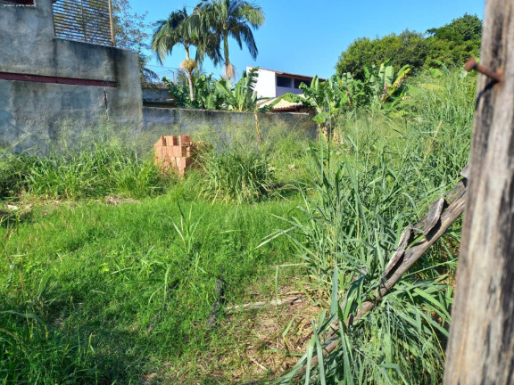 Imagem Terreno à Venda, 180 m² em Jardim Fazendinha-piratininga - Niterói Imagem Terreno à Venda, 180 m² em Jardim Fazendinha-piratininga - Niterói
