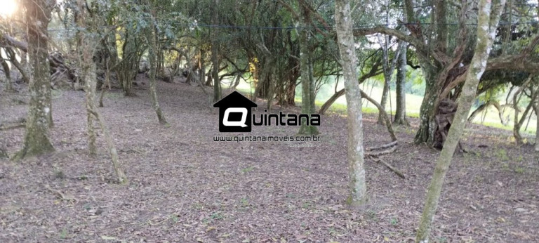 Imóvel com 1 Quarto à Venda, 230.000 m² em Santo Amor - Morro Redondo