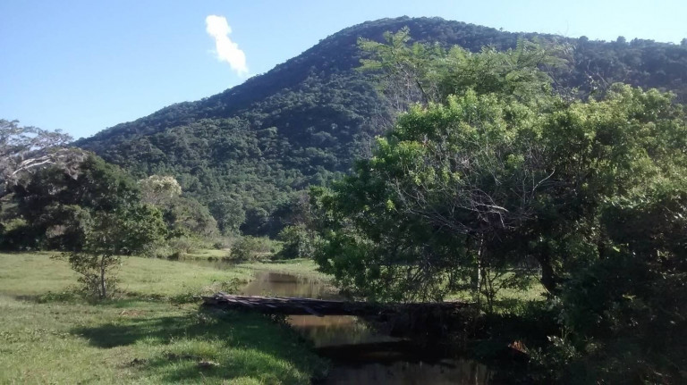 Imagem Chácara à Venda, 4.800 m² em São João Do Rio Vermelho - Florianópolis Imagem Chácara à Venda, 4.800 m² em São João Do Rio Vermelho - Florianópolis