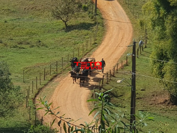 Imagem Imóvel à Venda, em Soledade De Minas - Soledade De Minas Imagem Imóvel à Venda, em Soledade De Minas - Soledade De Minas