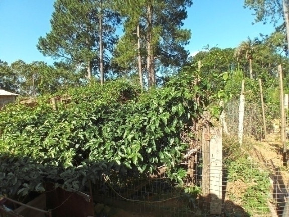 Imagem Casa com 4 Quartos à Venda, 350 m² em Morro Grande - Viamão