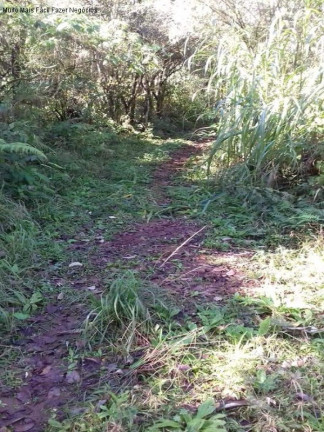 Imagem Terreno à Venda, em Linha Pirajá - Nova Petrópolis Imagem Terreno à Venda, em Linha Pirajá - Nova Petrópolis