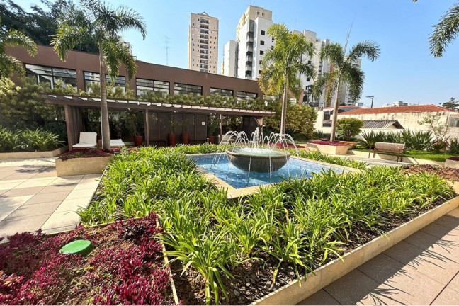 Imagem Apartamento com 3 Quartos à Venda, 82 m² em Chácara Inglesa - São Paulo Imagem Apartamento com 3 Quartos à Venda, 82 m² em Chácara Inglesa - São Paulo