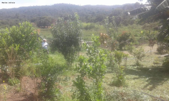 Imagem Chácara com 3 Quartos à Venda, 90 m² em Azurita - Mateus Leme