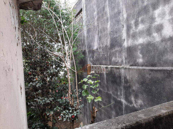 Imagem Sobrado com 4 Quartos à Venda, 259 m² em Vila Ponte Rasa - São Paulo Imagem Sobrado com 4 Quartos à Venda, 259 m² em Vila Ponte Rasa - São Paulo