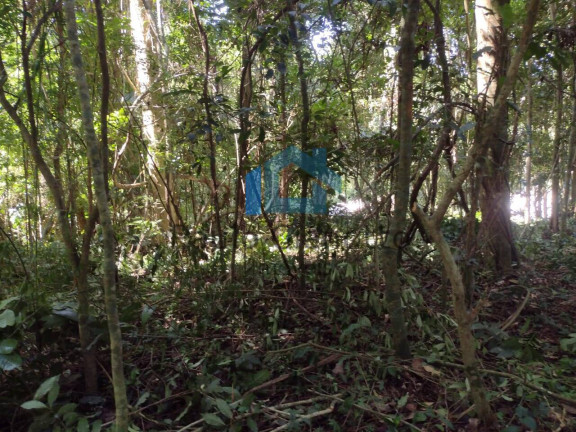 Imagem Terreno à Venda, 2.301 m² em Jardim Santa Paula - Cotia Imagem Terreno à Venda, 2.301 m² em Jardim Santa Paula - Cotia