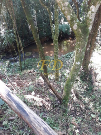 Imagem Terreno à Venda, 3.700 m² em Joanópolis Imagem Terreno à Venda, 3.700 m² em Joanópolis