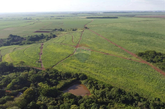 Imagem Fazenda à Venda, 830.000 m² em Jardim Do Carmo - Araraquara