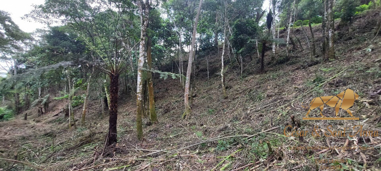 Imagem Terreno à Venda, 1.050 m² em Alto Da Boa Vista - Campos Do Jordão Imagem Terreno à Venda, 1.050 m² em Alto Da Boa Vista - Campos Do Jordão