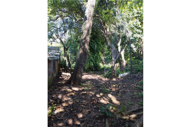 Imagem Terreno à Venda, em Camaquã - Porto Alegre Imagem Terreno à Venda, em Camaquã - Porto Alegre