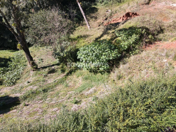 Imagem Terreno à Venda, 1.110 m² em Região Do Alto Do Capivari - Campos Do Jordão Imagem Terreno à Venda, 1.110 m² em Região Do Alto Do Capivari - Campos Do Jordão