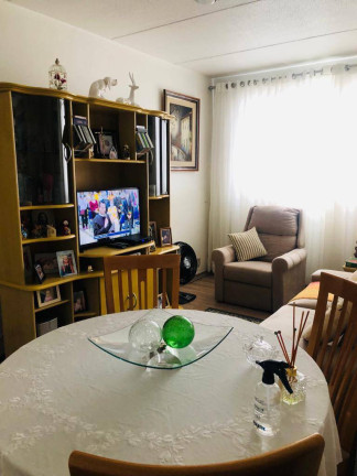 Imagem Apartamento com 2 Quartos à Venda, 50 m² em Cidade Continental - São Paulo Imagem Apartamento com 2 Quartos à Venda, 50 m² em Cidade Continental - São Paulo