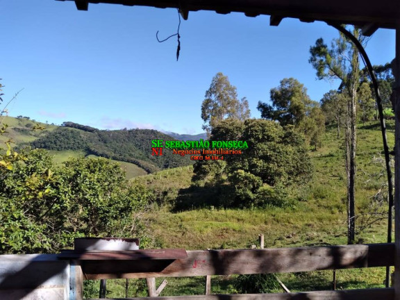 Imagem Chácara com 2 Quartos à Venda, 25.000 m² em Sob Consulta - Virgínia Imagem Chácara com 2 Quartos à Venda, 25.000 m² em Sob Consulta - Virgínia