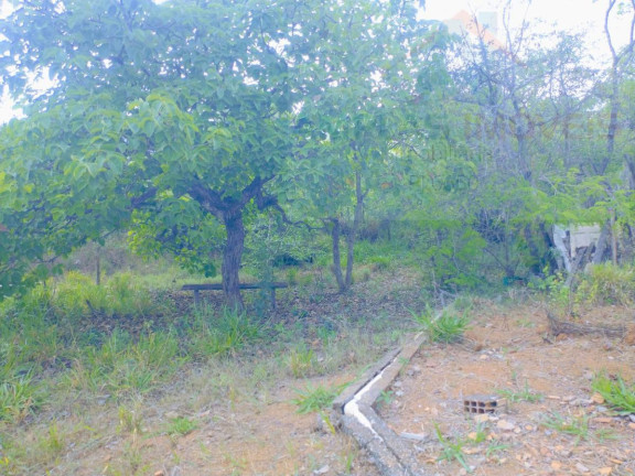 Imagem Terreno à Venda,  em Atalaia - Mateus Leme