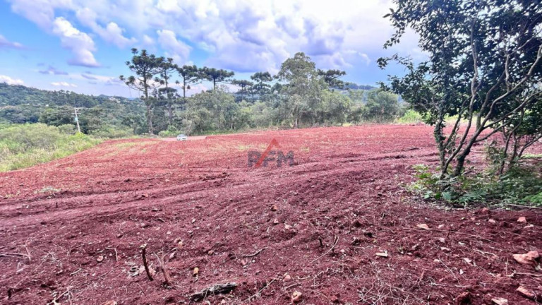 Imóvel à Venda, 20 m² em Centro - Linha Nova