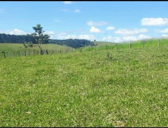 Imagem Chácara à Venda, 25.000 m² em Monte Belo - Taubaté Imagem Chácara à Venda, 25.000 m² em Monte Belo - Taubaté